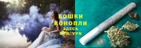 spice Новодвинск