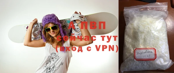 spice Новодвинск