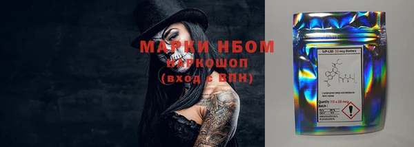 spice Новодвинск