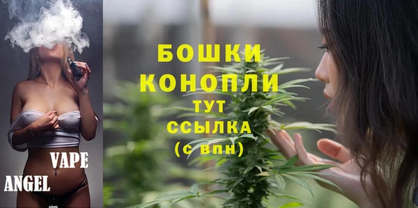 spice Новодвинск