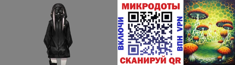 Псилоцибиновые грибы Psilocybine cubensis  Нижняя Салда 